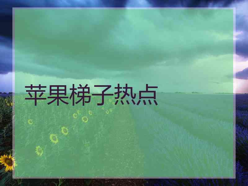 苹果梯子热点