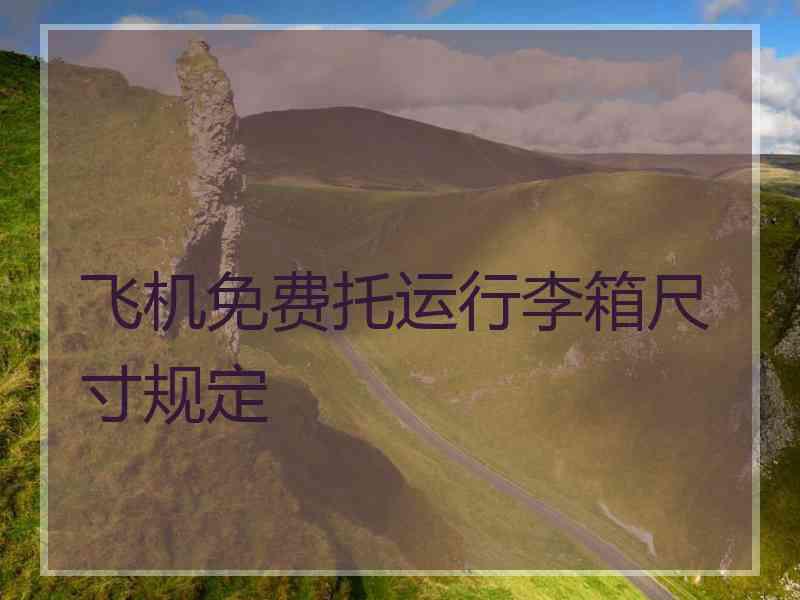飞机免费托运行李箱尺寸规定