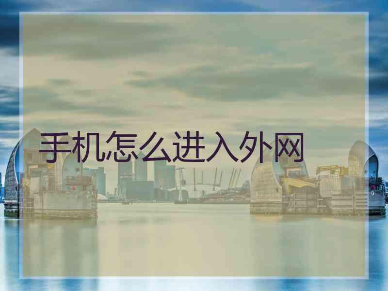 手机怎么进入外网