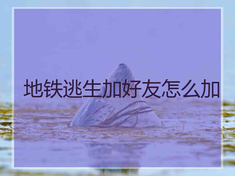 地铁逃生加好友怎么加
