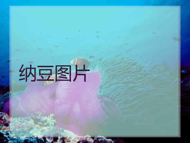 纳豆图片