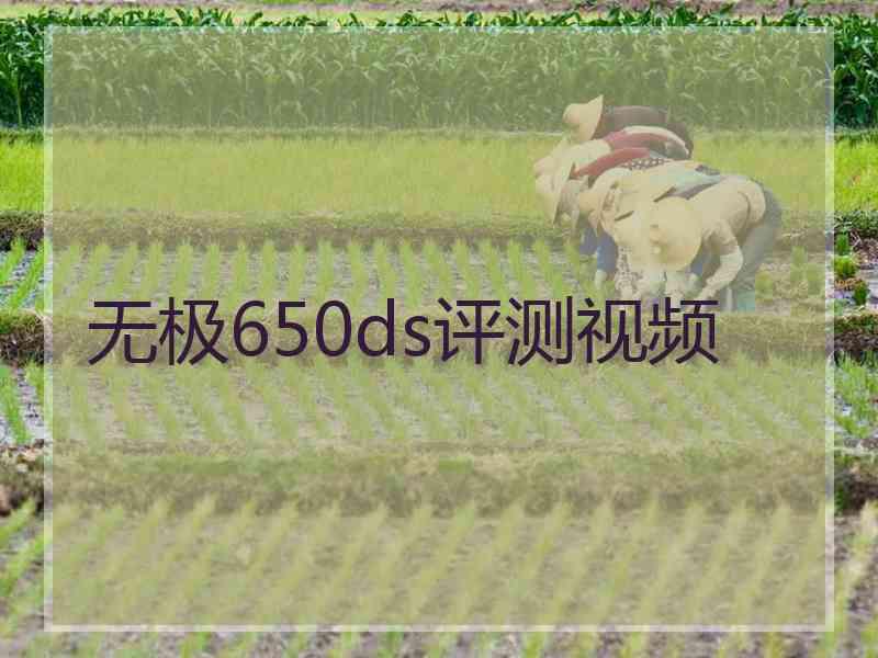 无极650ds评测视频