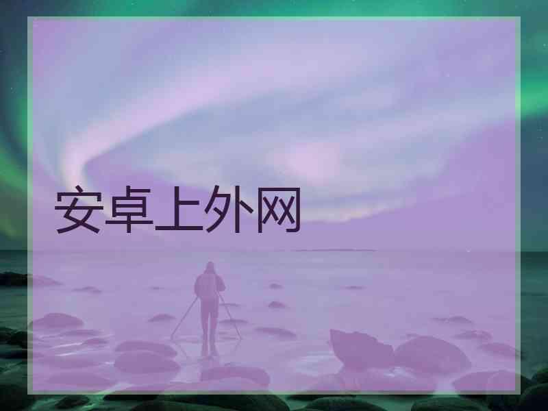 安卓上外网
