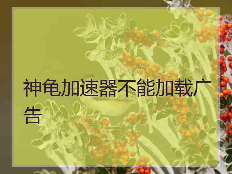 神龟加速器不能加载广告