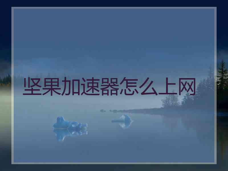 坚果加速器怎么上网