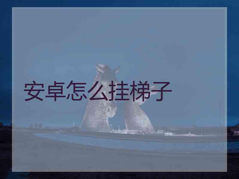 安卓怎么挂梯子