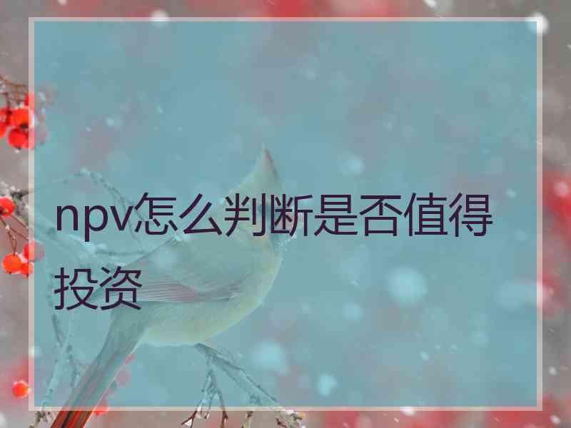 npv怎么判断是否值得投资