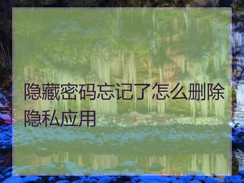 隐藏密码忘记了怎么删除隐私应用