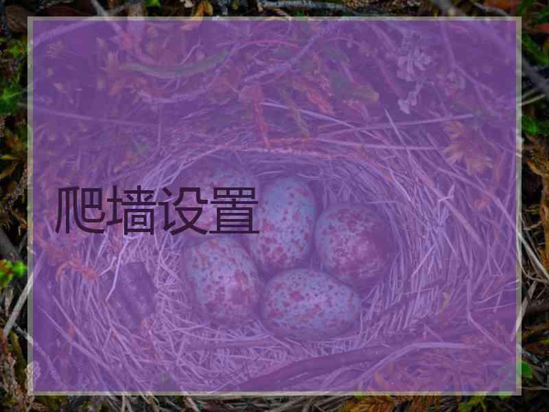 爬墙设置