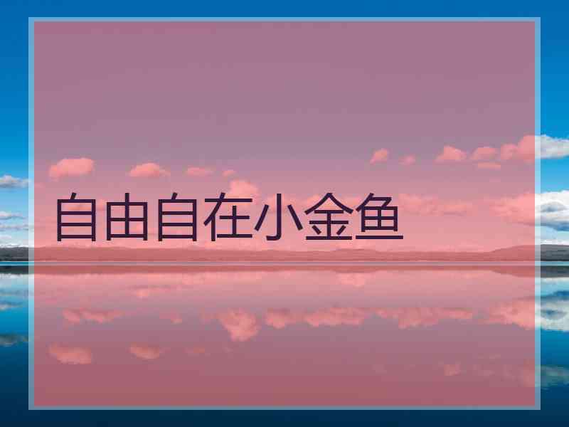 自由自在小金鱼