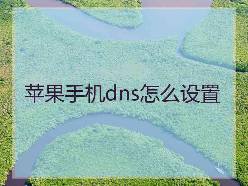 苹果手机dns怎么设置