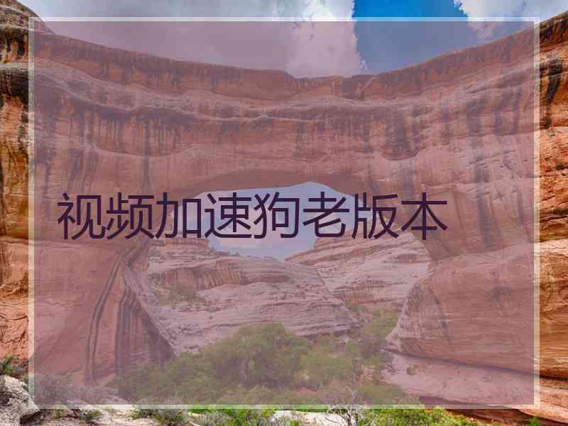 视频加速狗老版本