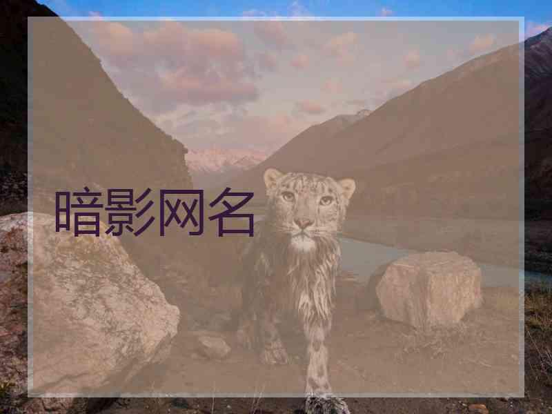 暗影网名