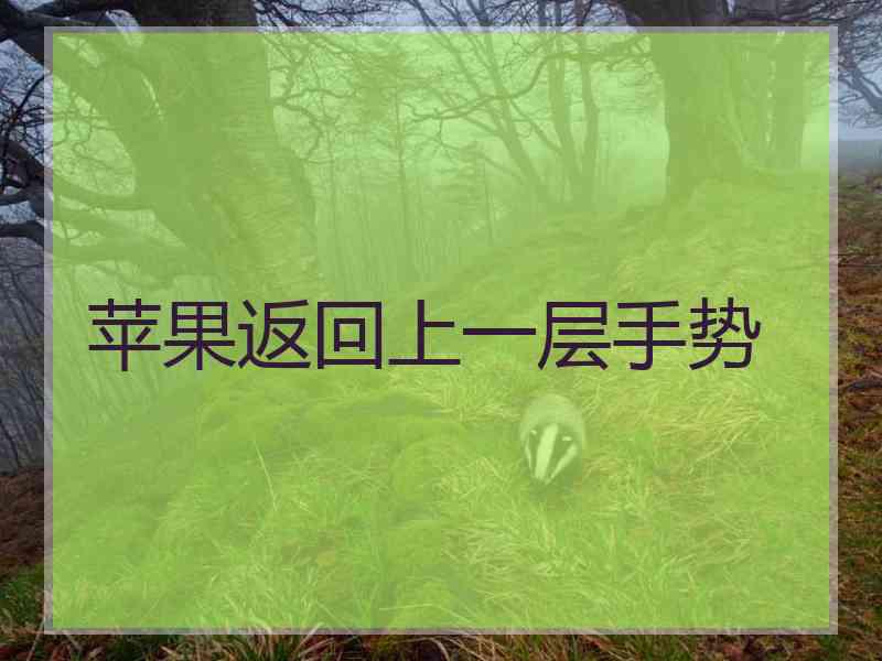 苹果返回上一层手势