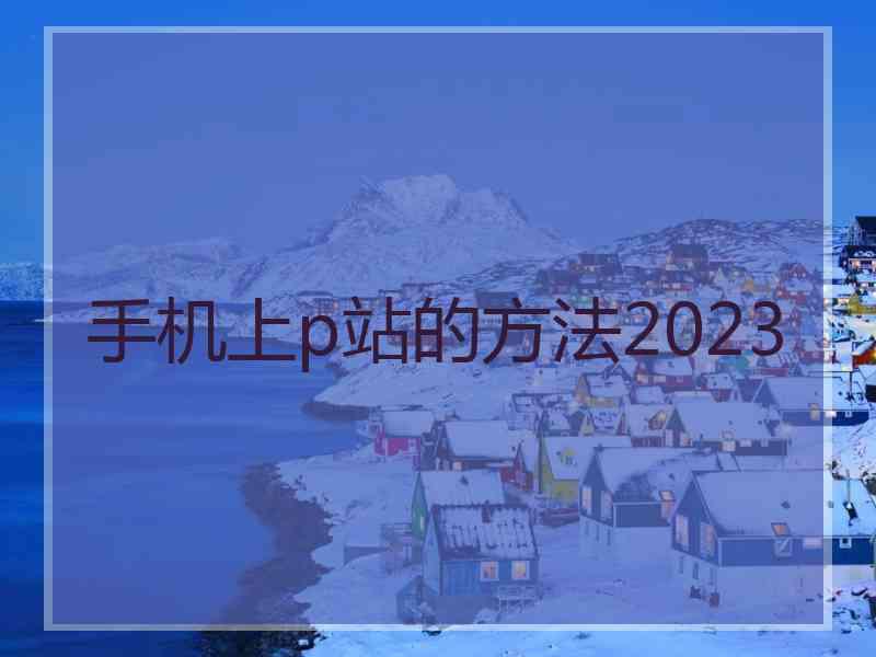 手机上p站的方法2023