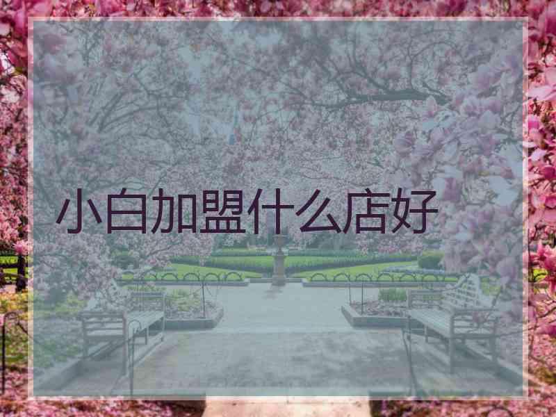 小白加盟什么店好