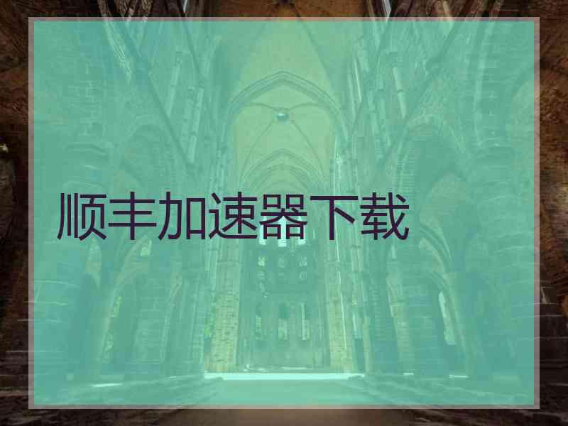 顺丰加速器下载