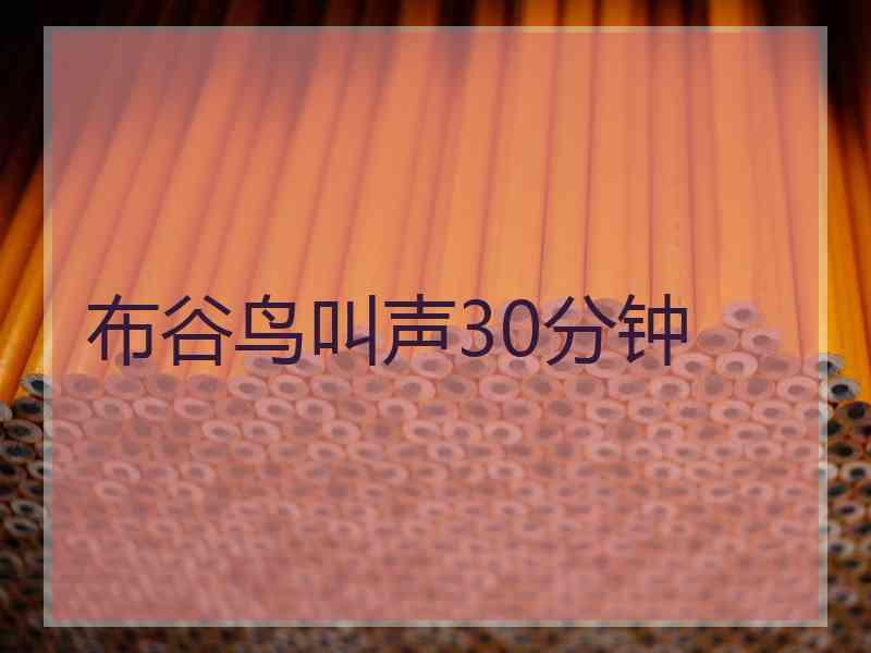 布谷鸟叫声30分钟