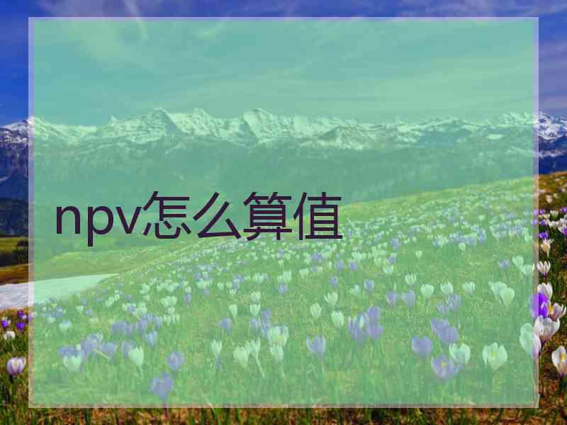 npv怎么算值