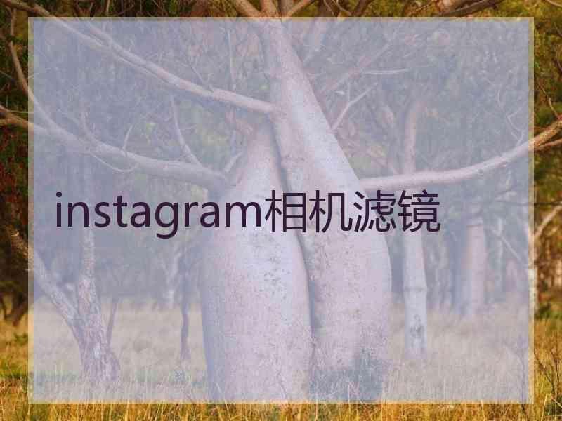 instagram相机滤镜