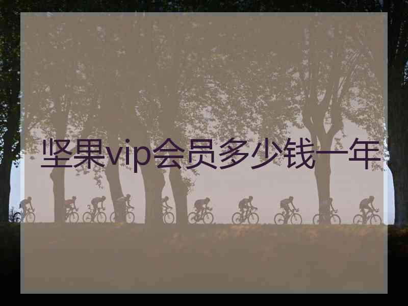 坚果vip会员多少钱一年