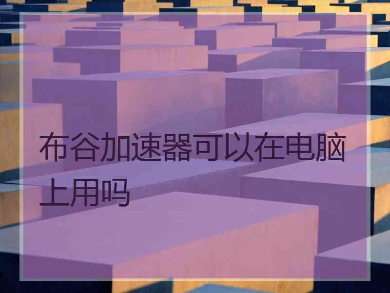 布谷加速器可以在电脑上用吗
