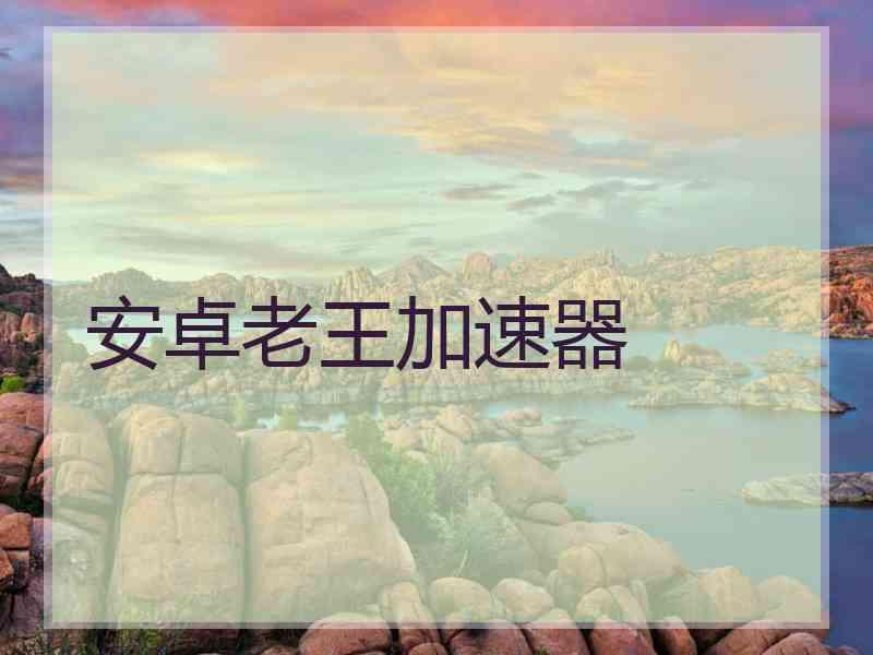 安卓老王加速器