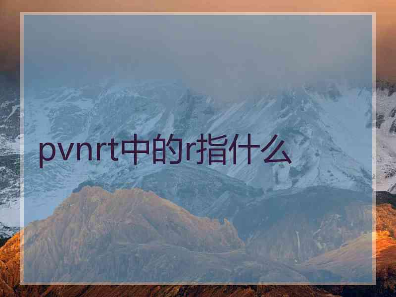 pvnrt中的r指什么