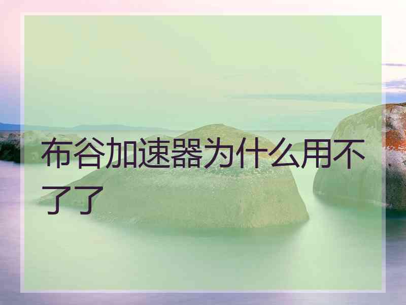 布谷加速器为什么用不了了