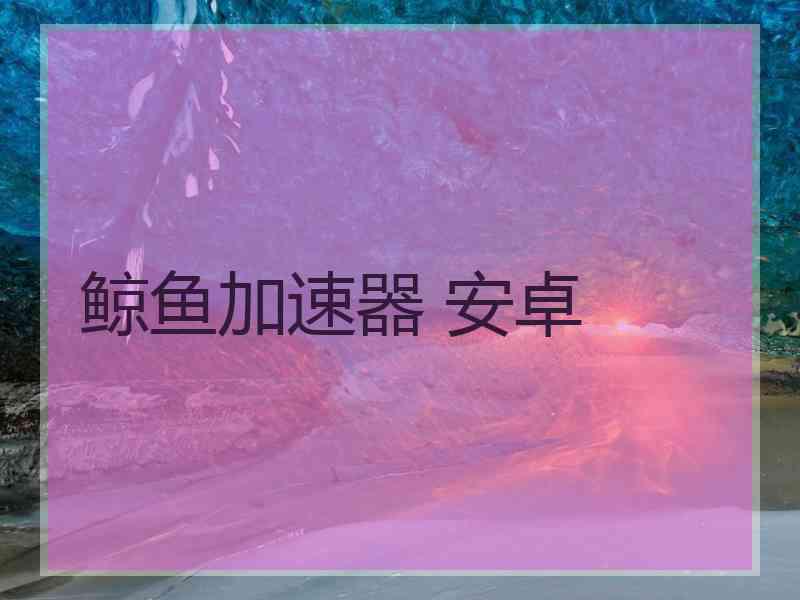鲸鱼加速器 安卓