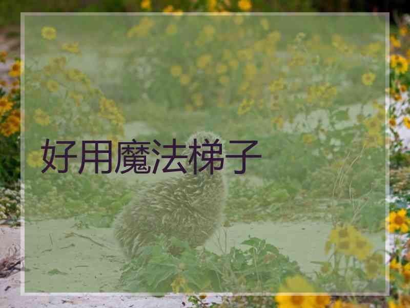 好用魔法梯子