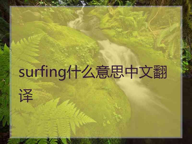 surfing什么意思中文翻译