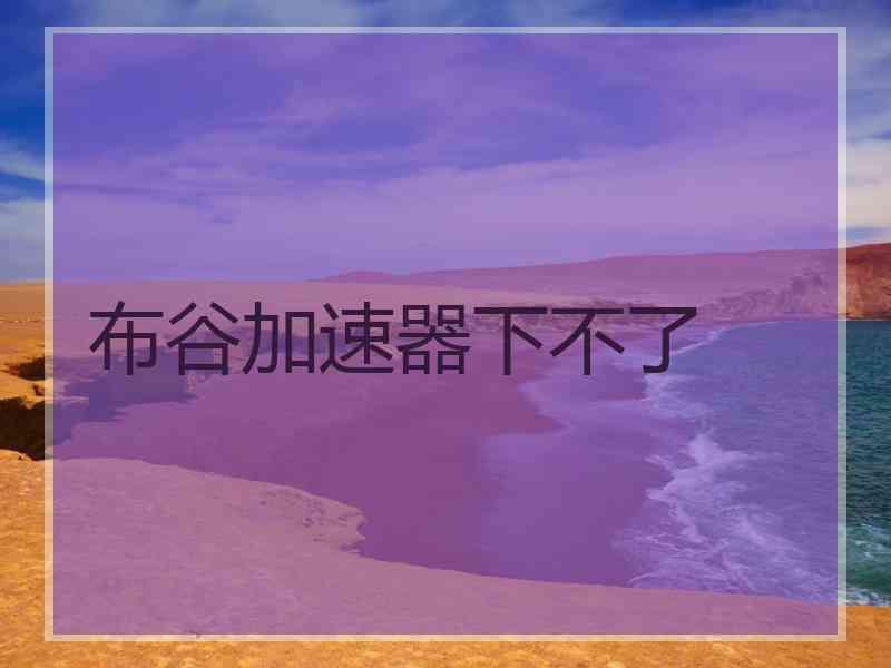 布谷加速器下不了