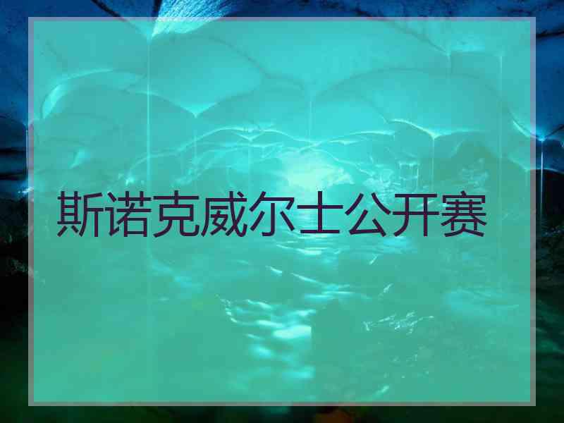 斯诺克威尔士公开赛