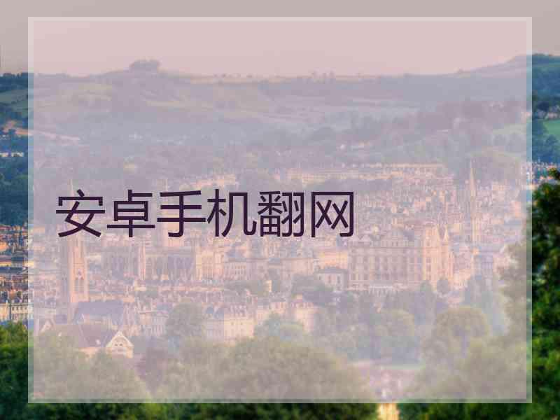 安卓手机翻网