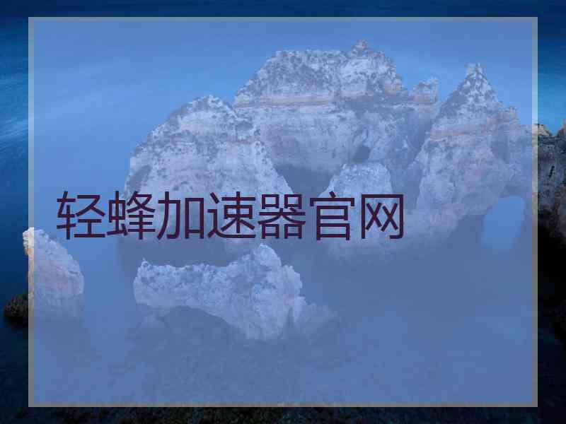轻蜂加速器官网