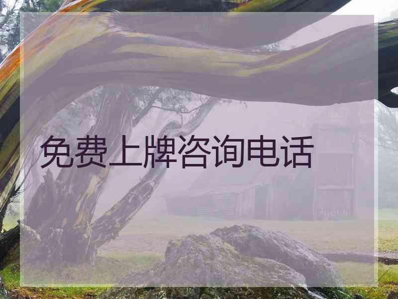 免费上牌咨询电话