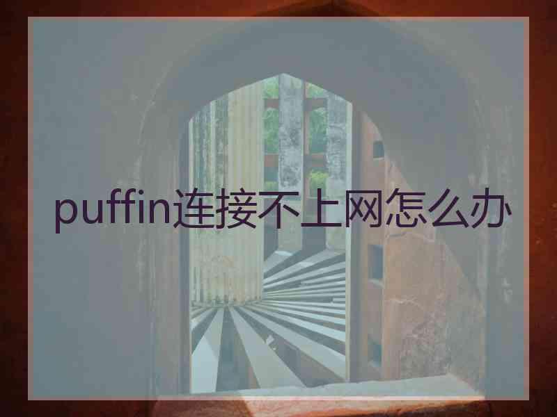 puffin连接不上网怎么办