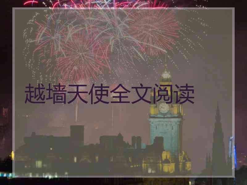 越墙天使全文阅读