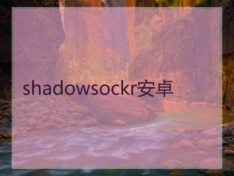 shadowsockr安卓