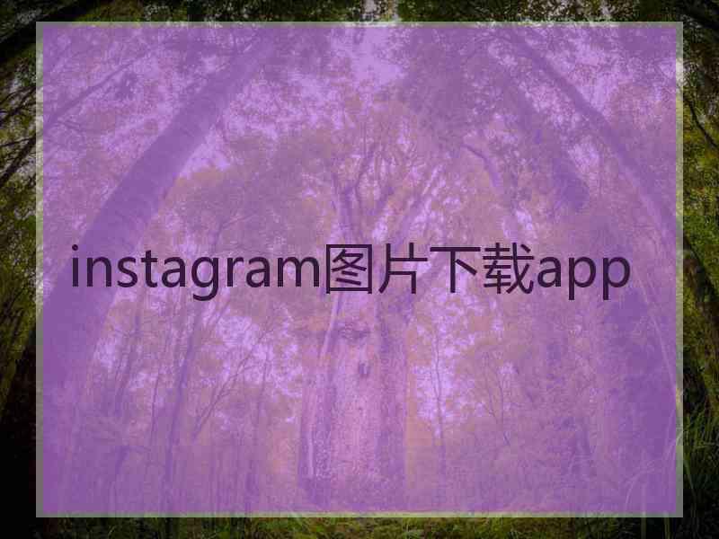 instagram图片下载app