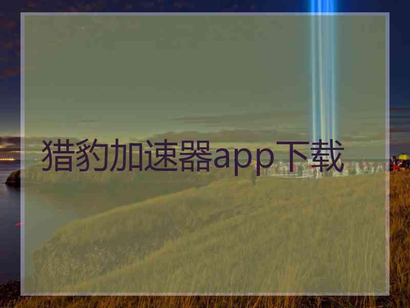 猎豹加速器app下载