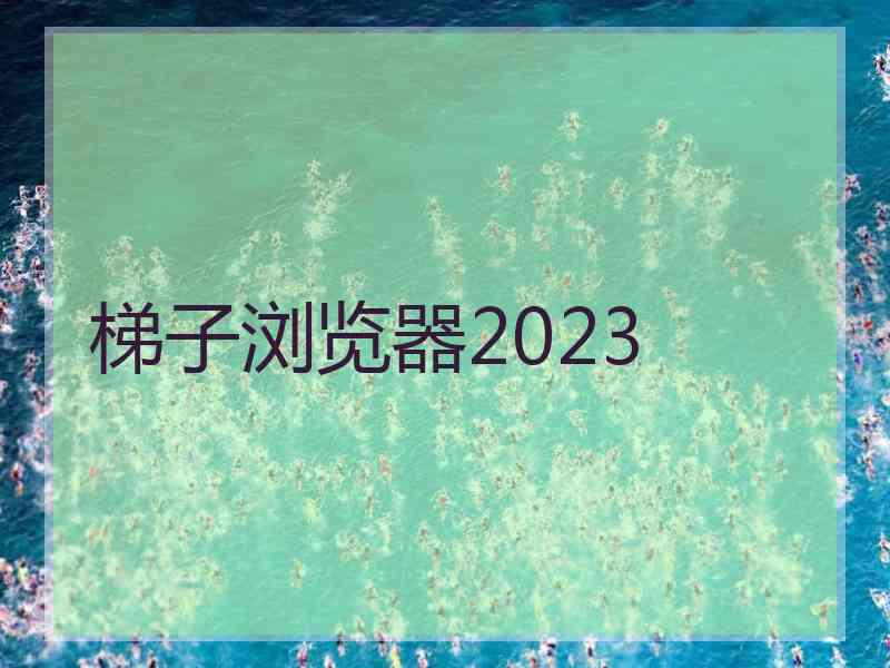 梯子浏览器2023