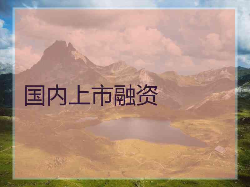 国内上市融资