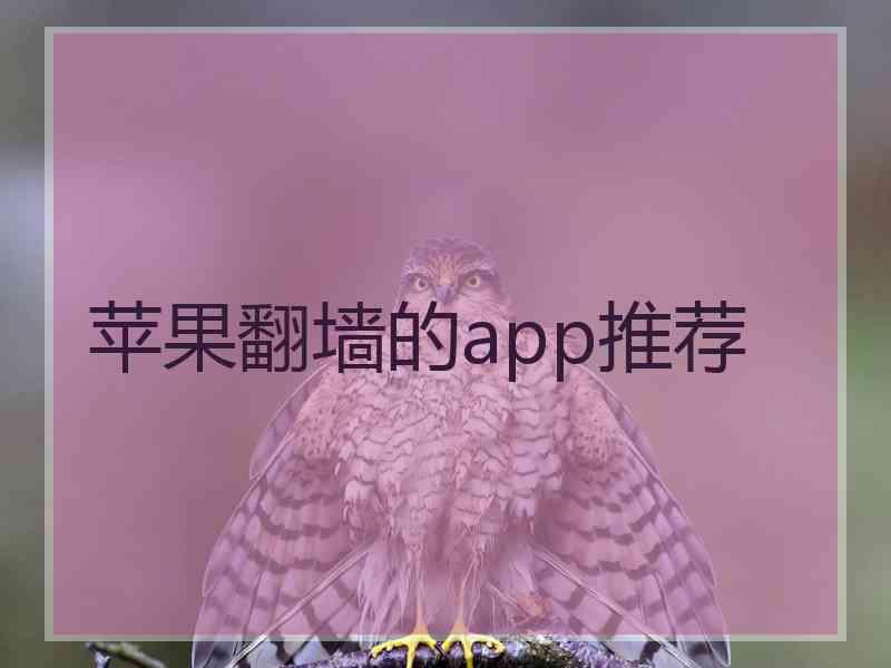 苹果翻墙的app推荐