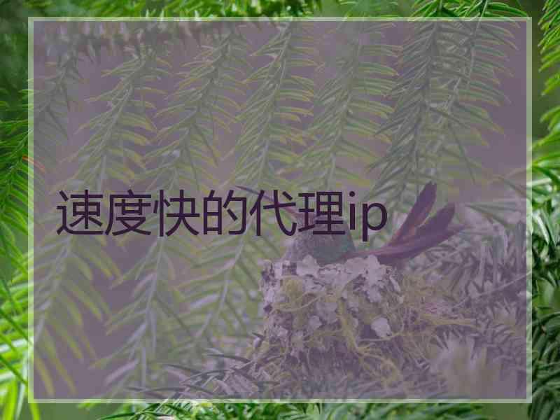 速度快的代理ip
