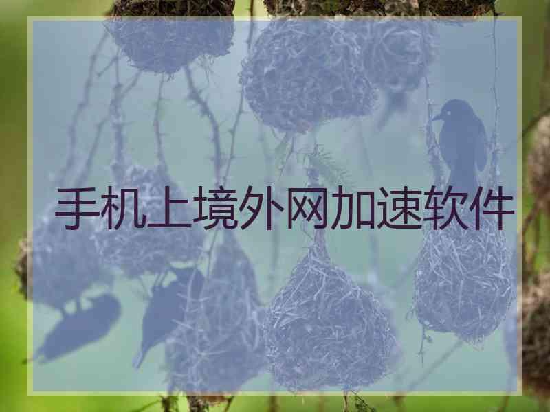 手机上境外网加速软件