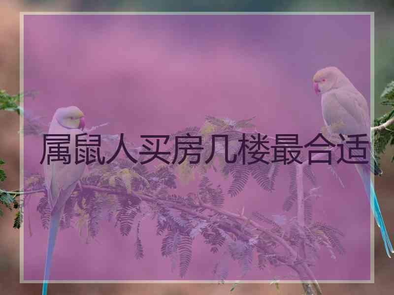 属鼠人买房几楼最合适