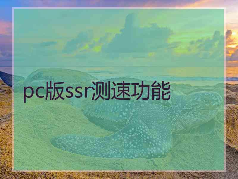 pc版ssr测速功能