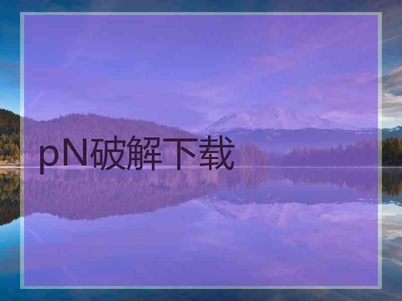pN破解下载